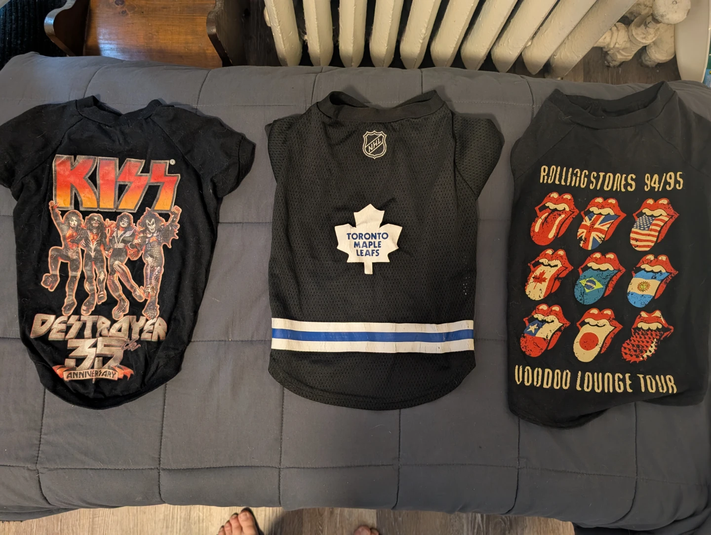 Assorted Dog Clothes - Roots, NHL, Band Tees - photo 5