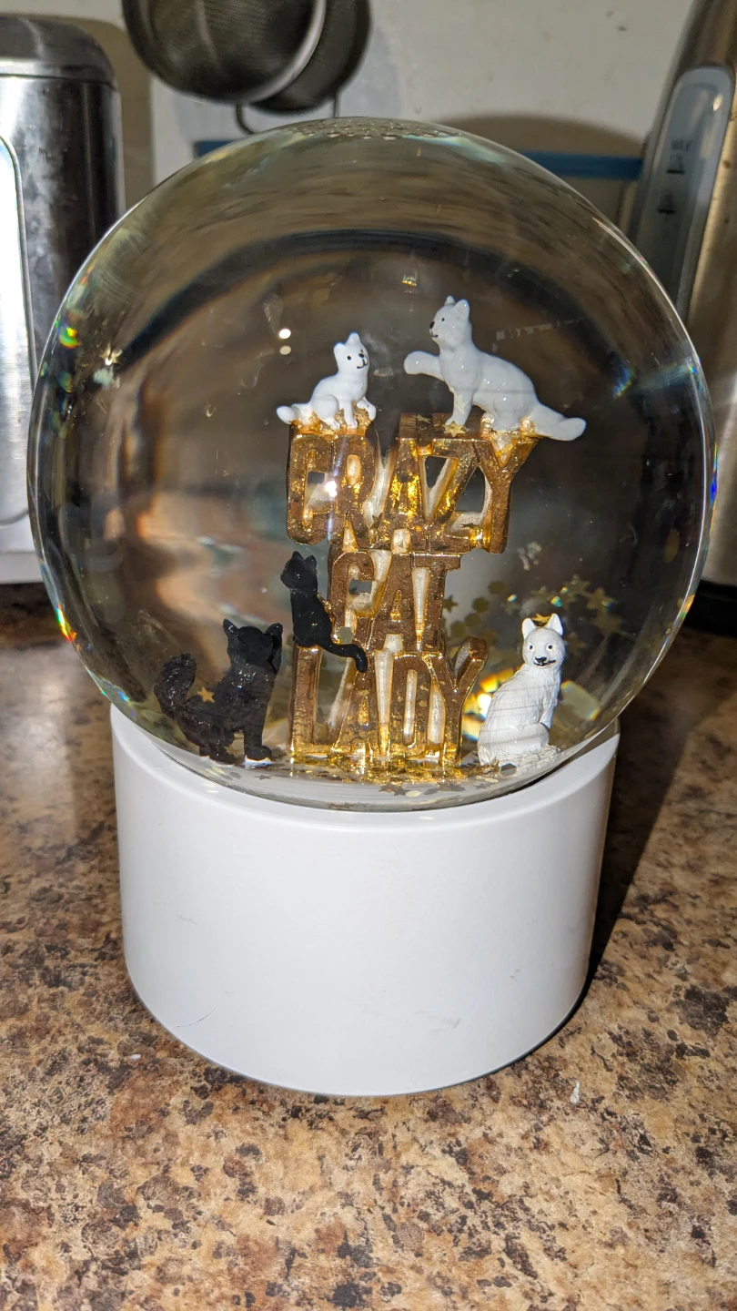 RARE VINTAGE "CRAZY CAT LADY" SNOW GLOBE MUSIC BOX - photo 2