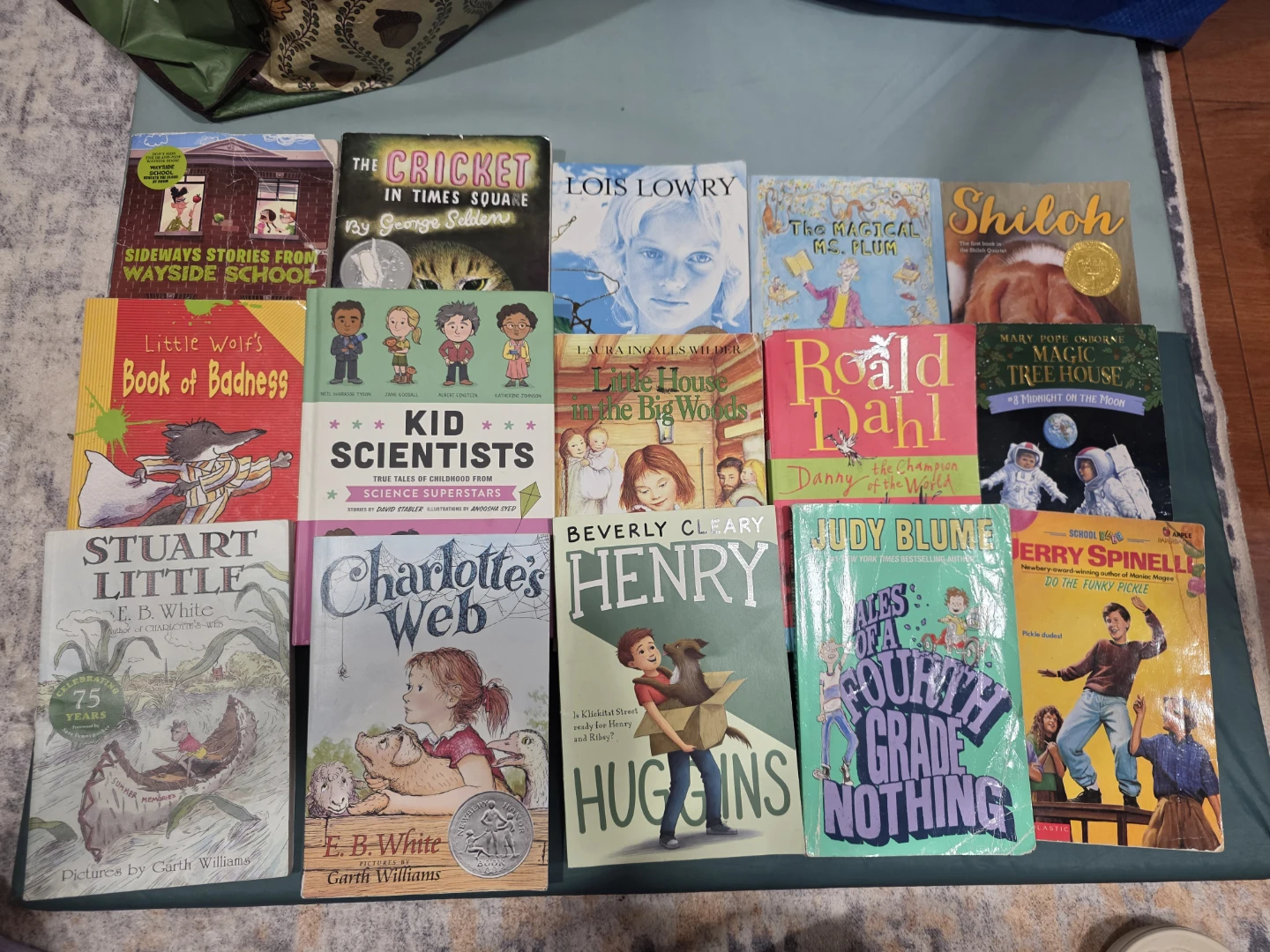 Collection of 14 Classic Children's Chapter Books