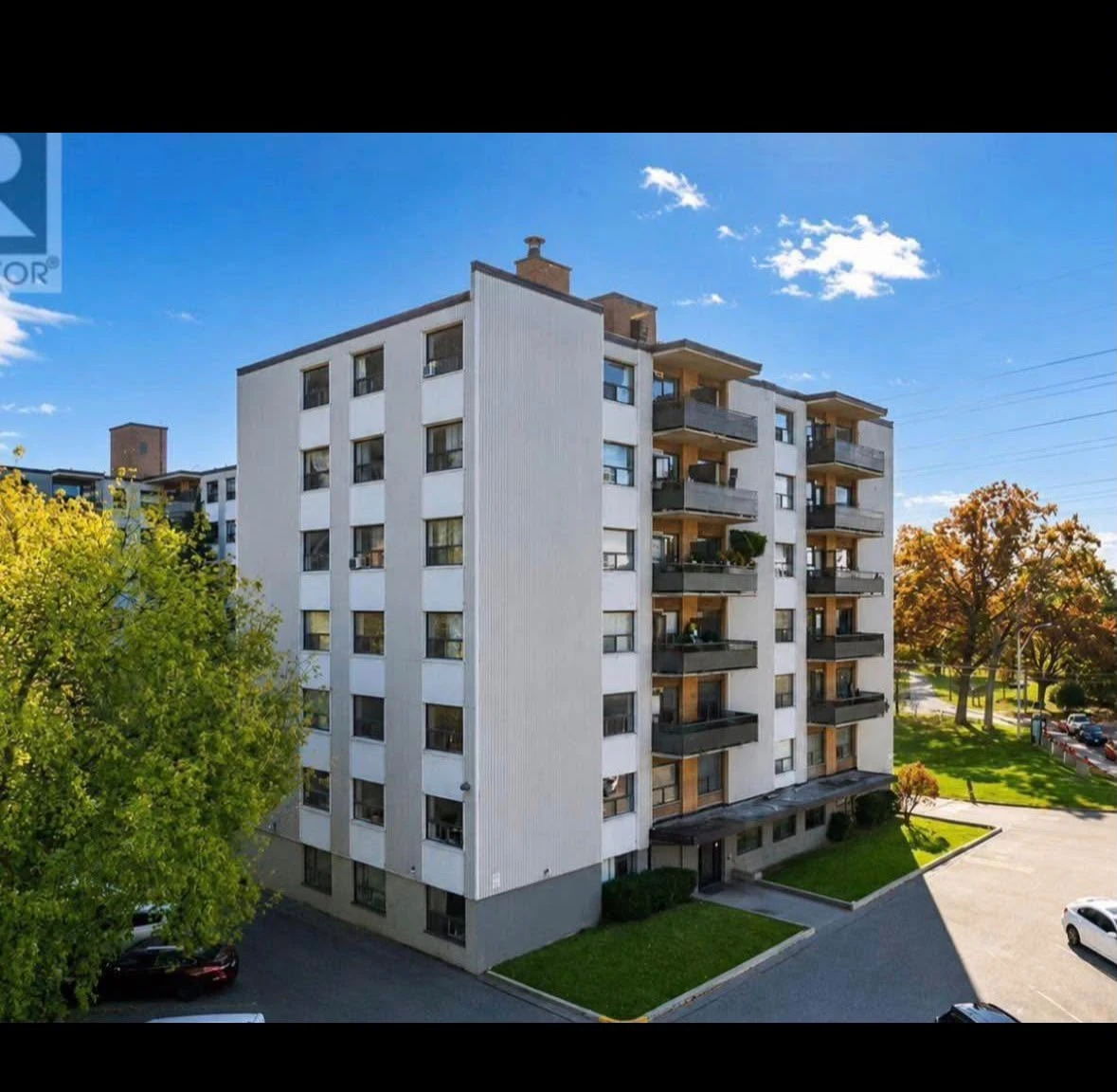 1 Bedroom Apartment Rent in East York – 10th & 11th Month FREE - photo 5