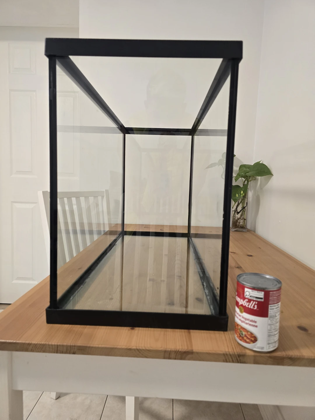Glass Aquarium Tank - photo 2