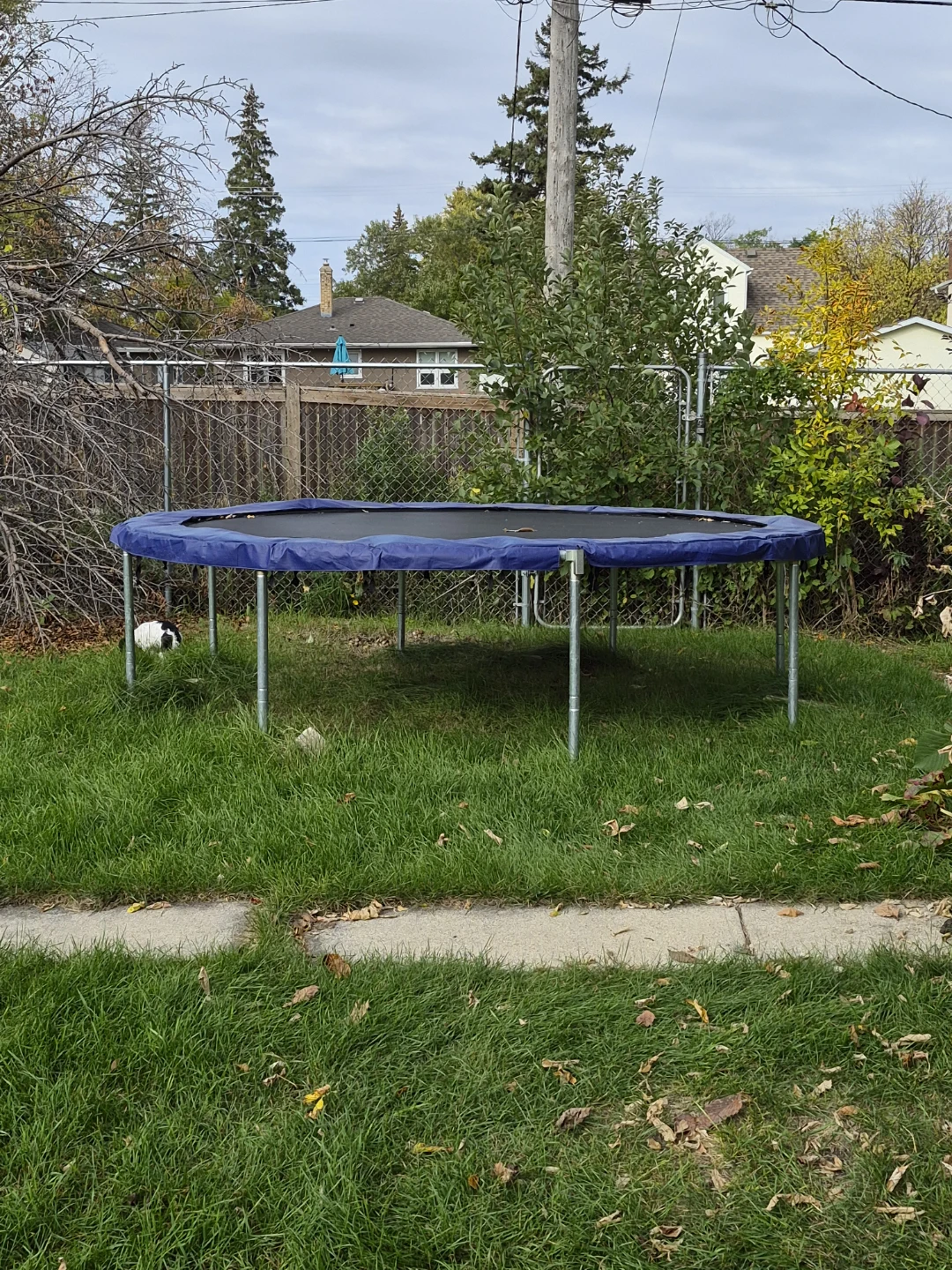 10 foot Trampoline