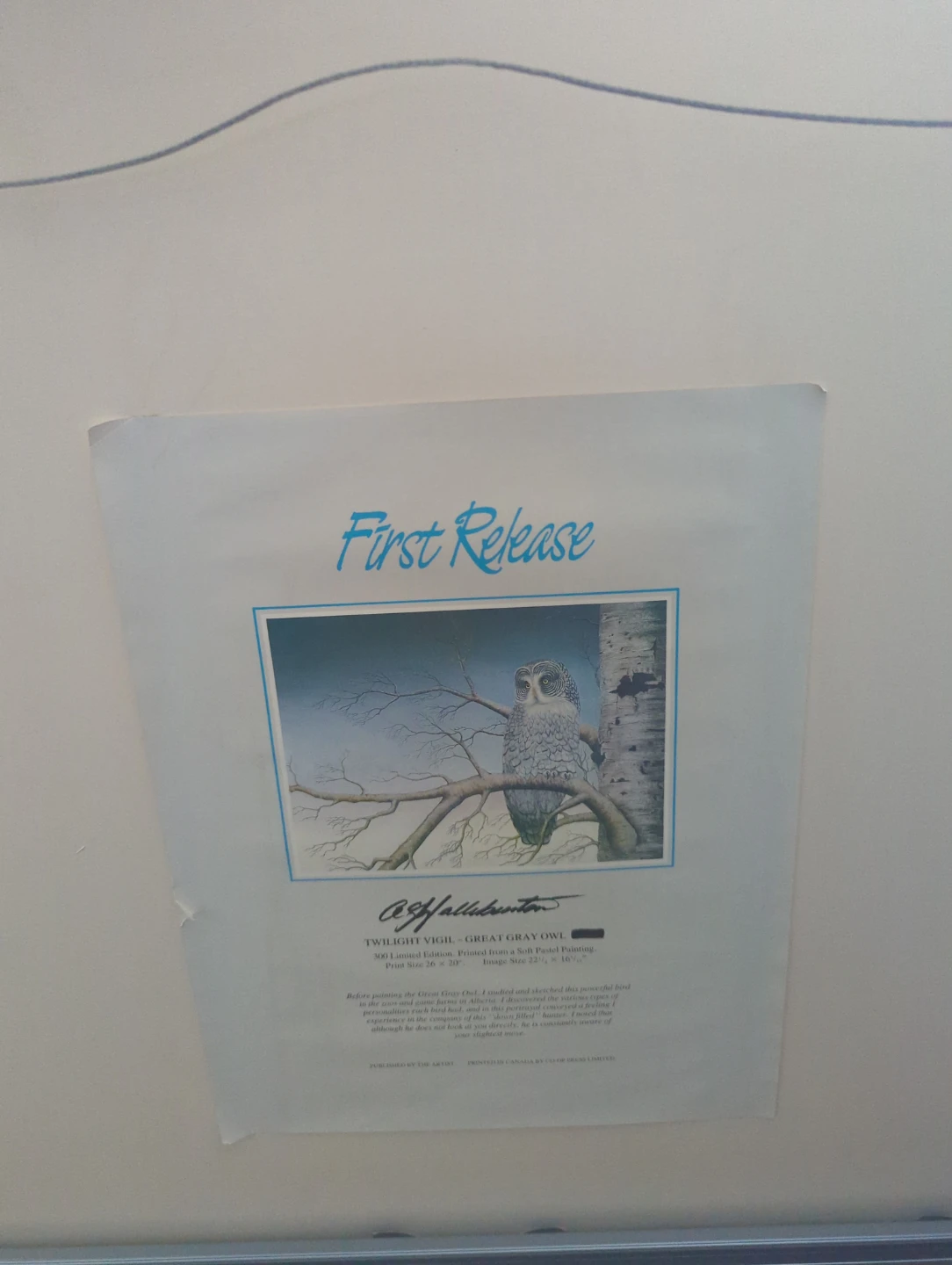 Gray Owl Limited Print - photo 2