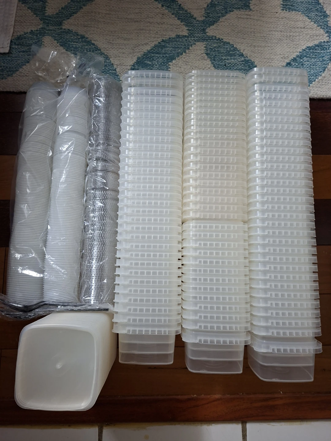Clear Plastic Takeout Containers with Lids
