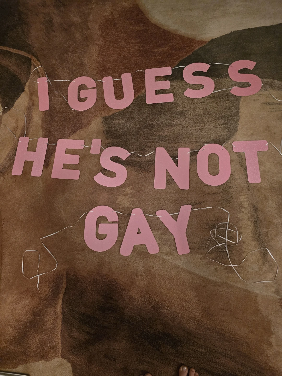 I Guess He's Not Gay Pink Letter Garland