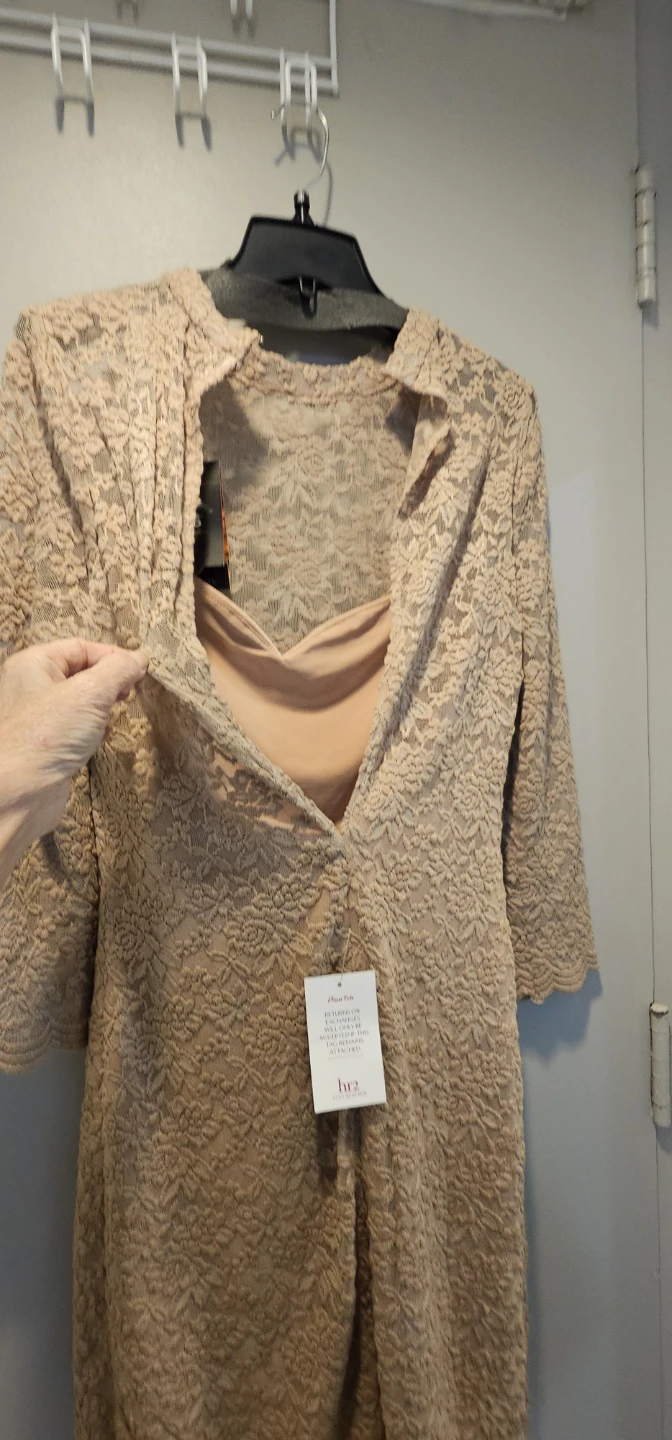 ABS Allen Schwartz Beige Lace Dress - photo 2