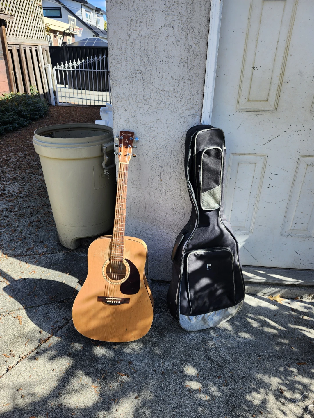 Simon & Patrick Acoustic Guitar with Case