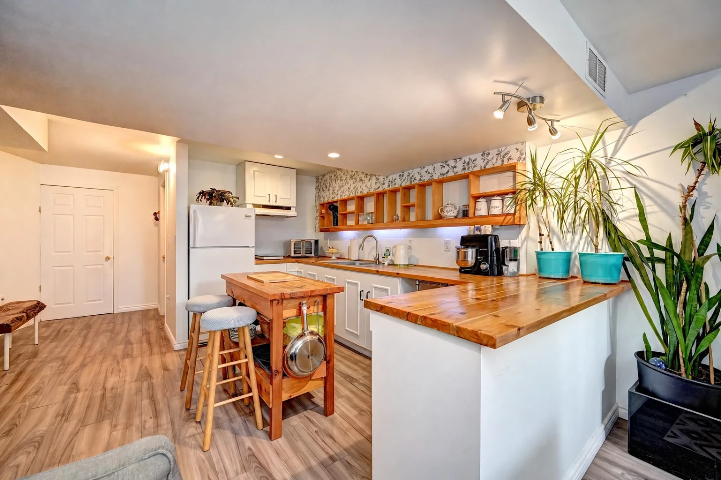 1 Bed 1 Bath - Apartment - photo 2