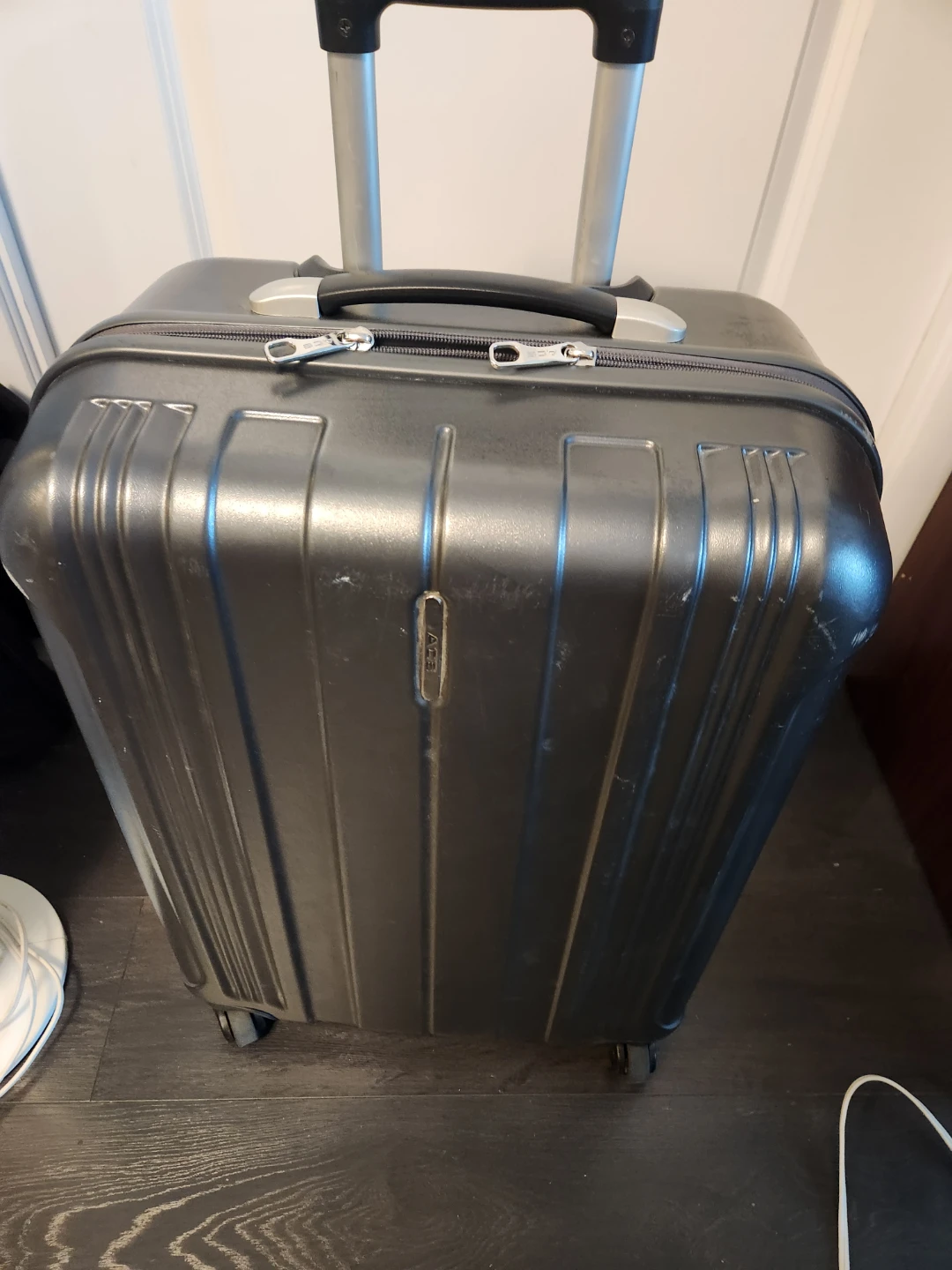 ACE Luggage Suitcase