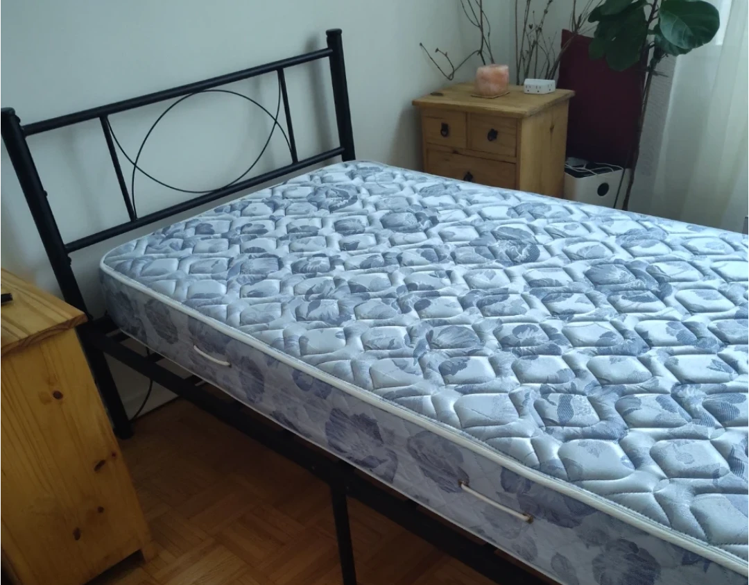 Twin black metal bed frame and mattress