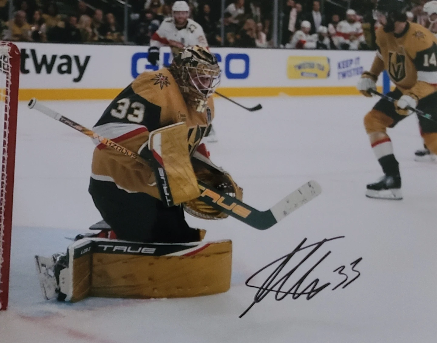 Vegas Golden Knights Autographed 8x10 Photos With COA'S - photo 4
