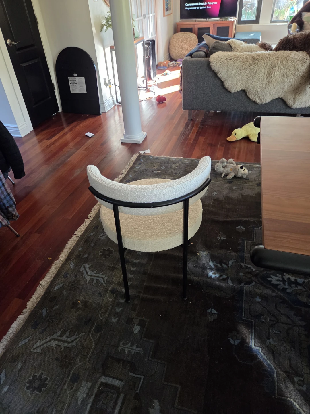 Modern dining room chairs