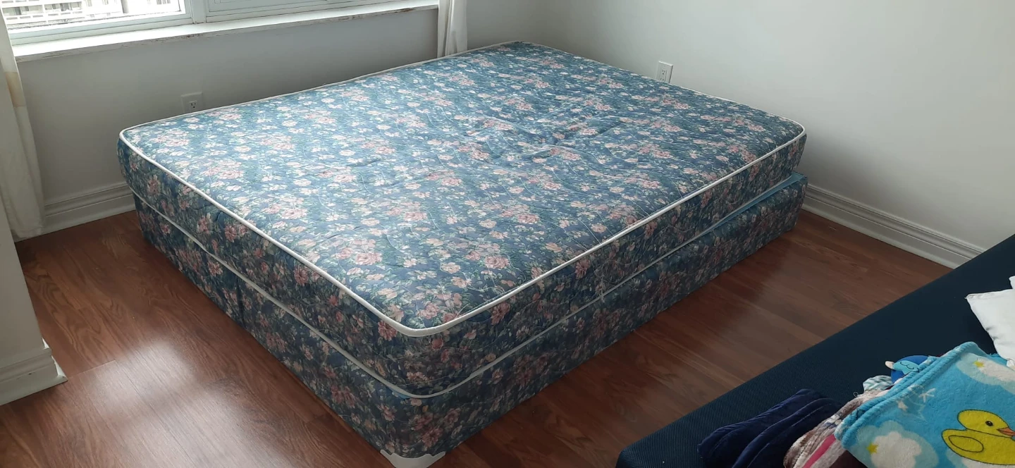 Double Mattress and Box Spring Set
