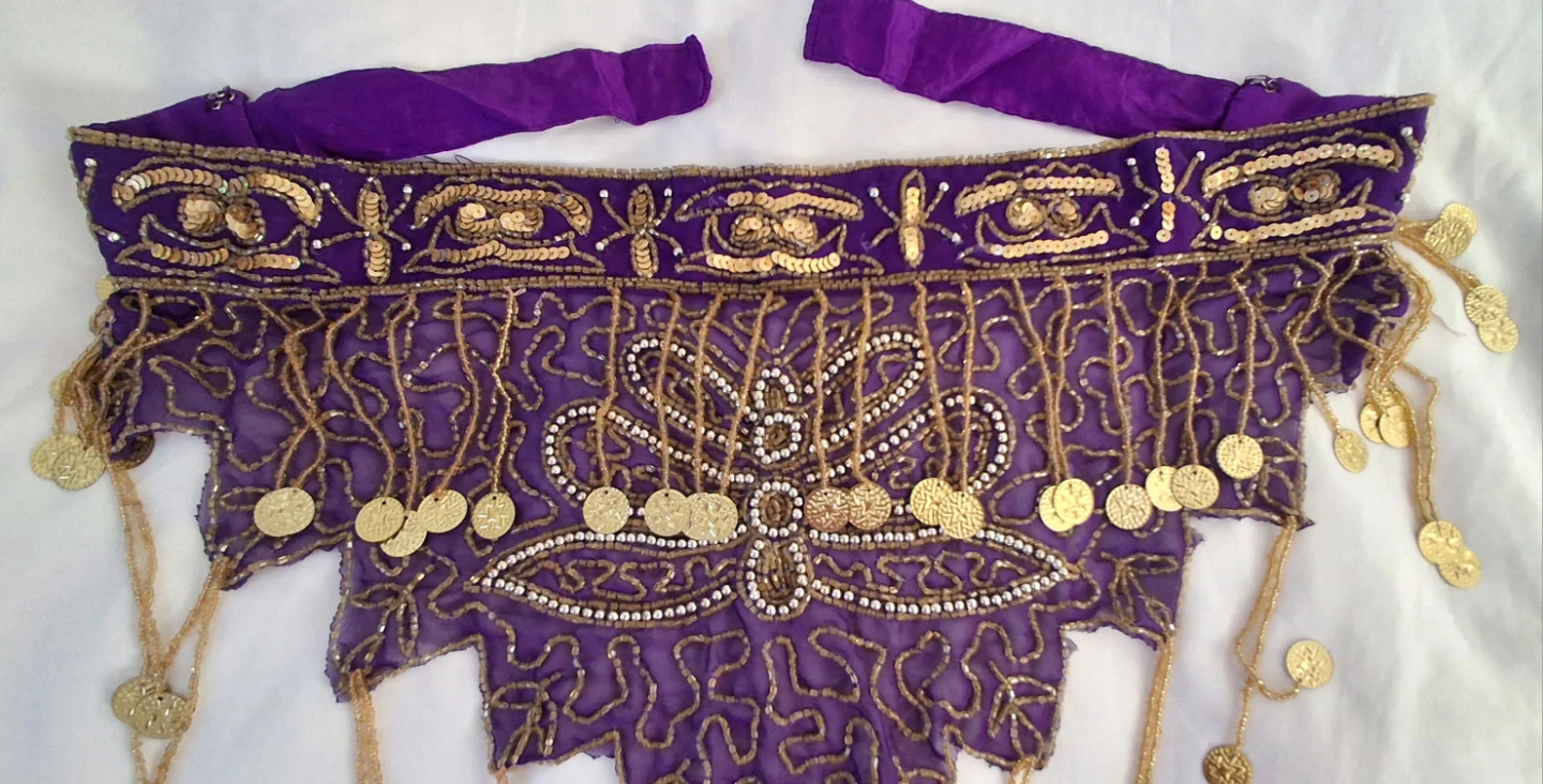Purple Beaded Belly Dance Top and Hip Scarf Set - photo 4