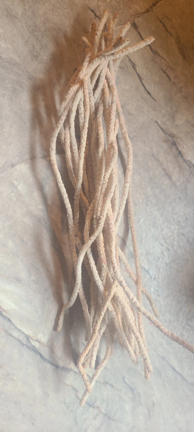 Bong pipe cleaner