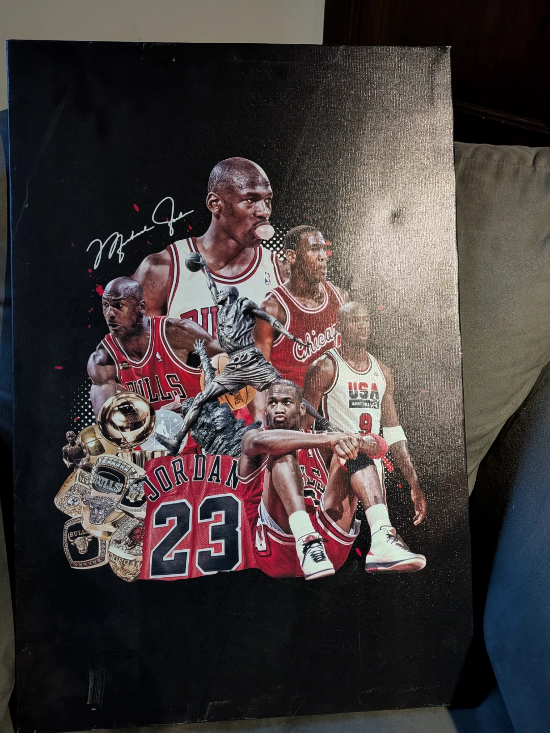 Michael Jordan Chicago Bulls Canvas Wall Art