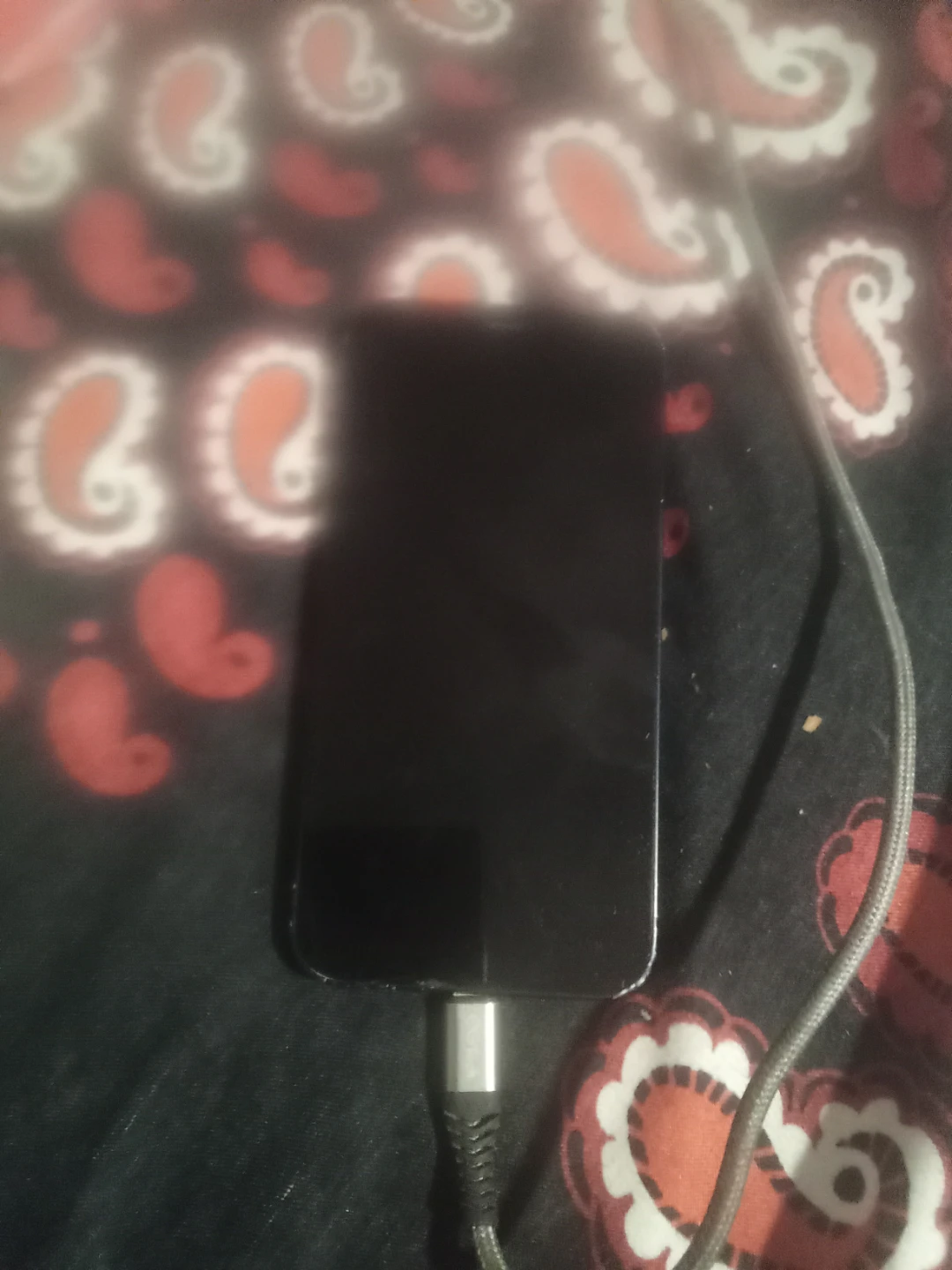Apple iPhone 12 mini - photo 2