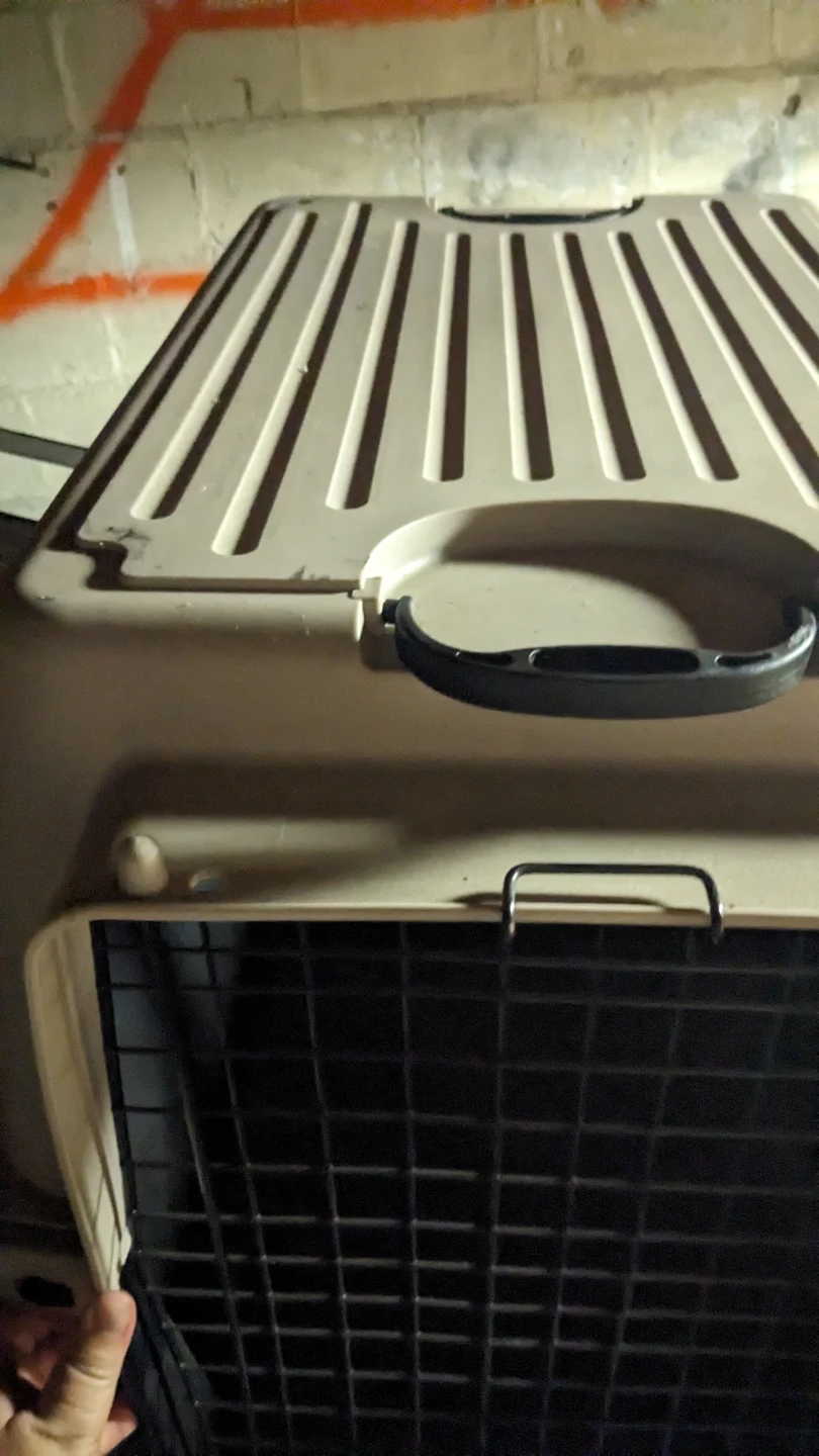 Large Hard Plastic Pet Travel Crate - photo 2