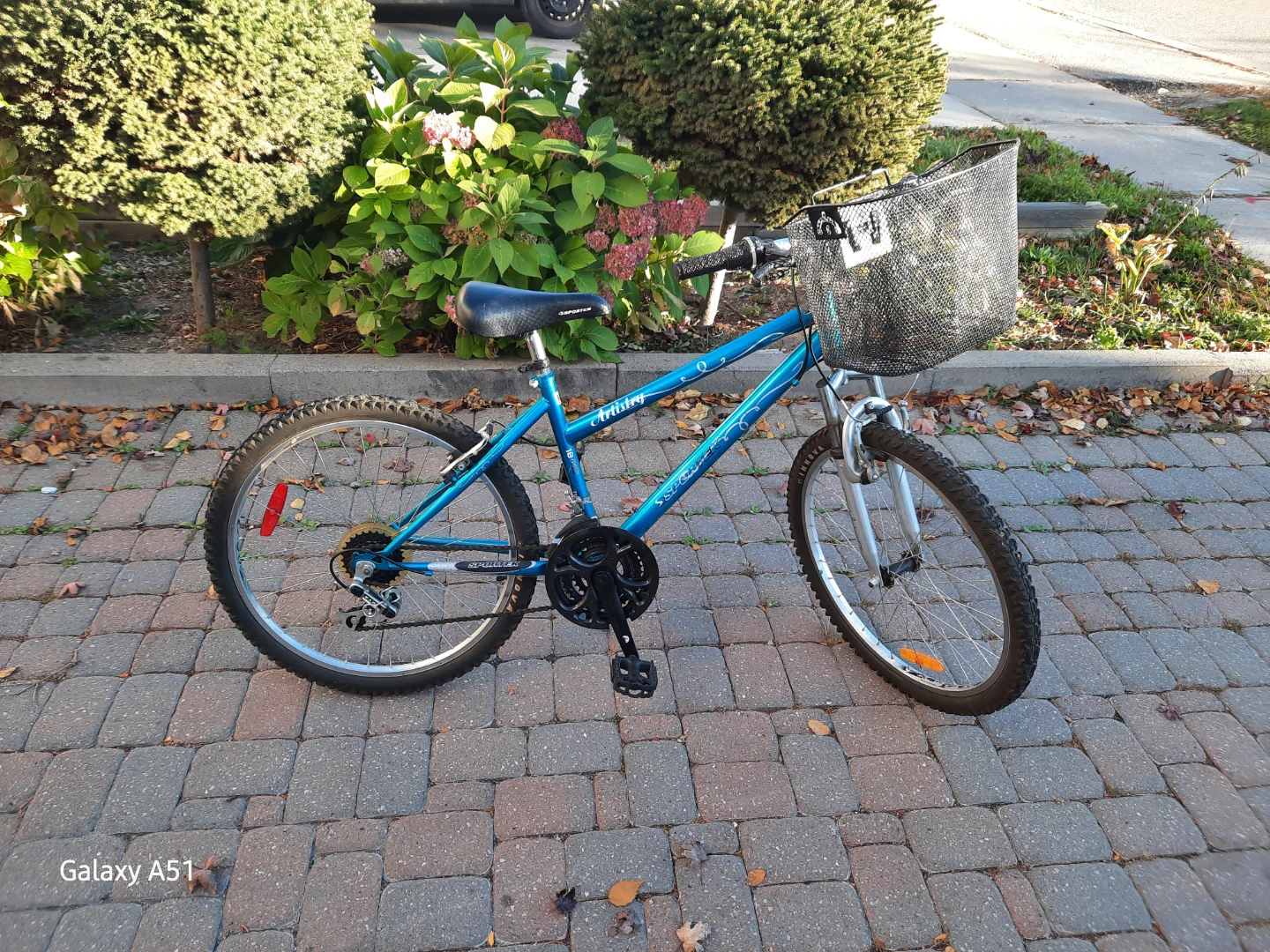 Sportek Artistry Mountain Bike