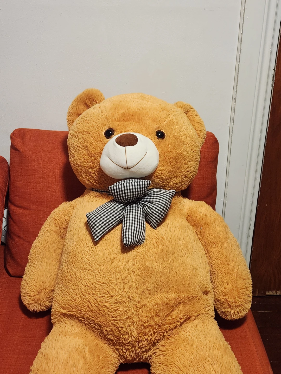 Giant Teddy bear - photo 4