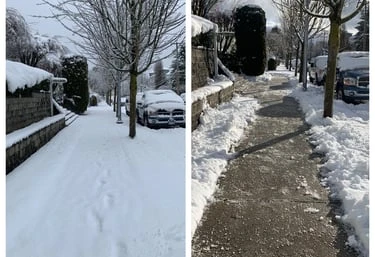 Professional snow shovel