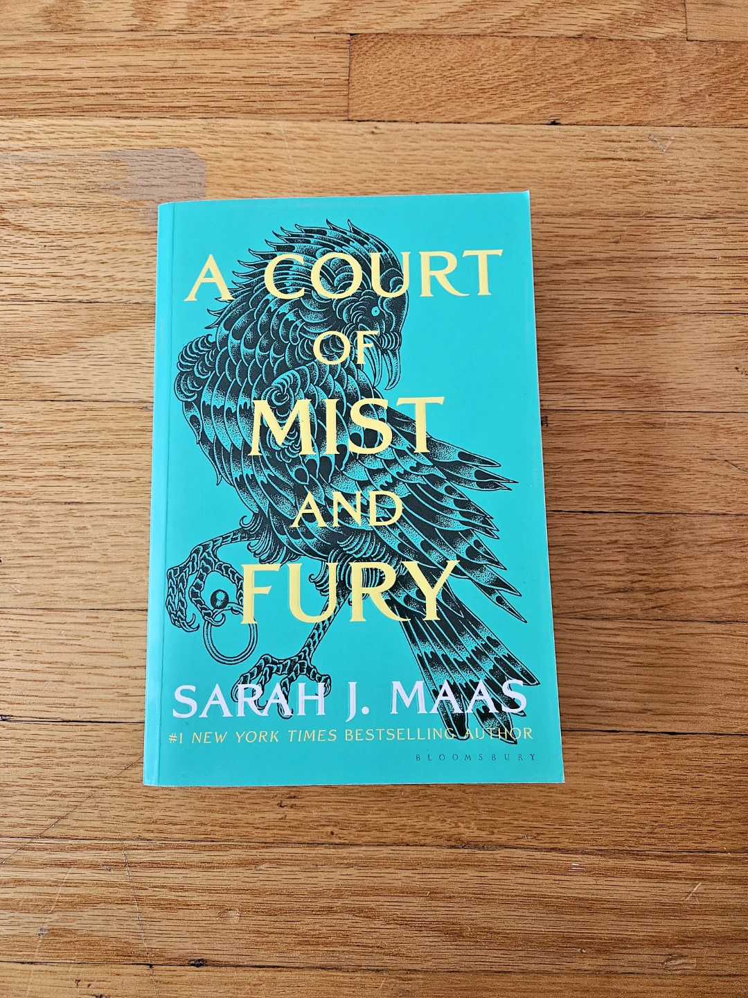 A Court of Mist and Fury by Sarah J. Maas