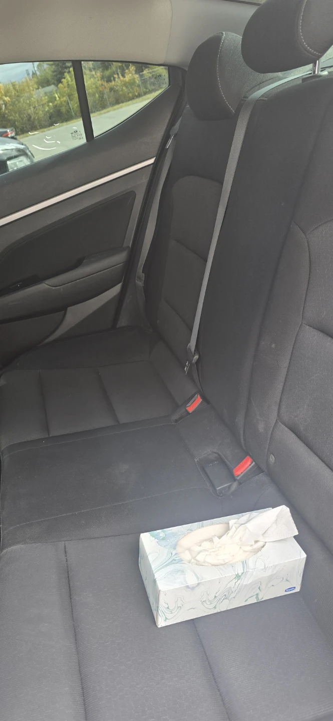2018 Hyundai Elantra - photo 5