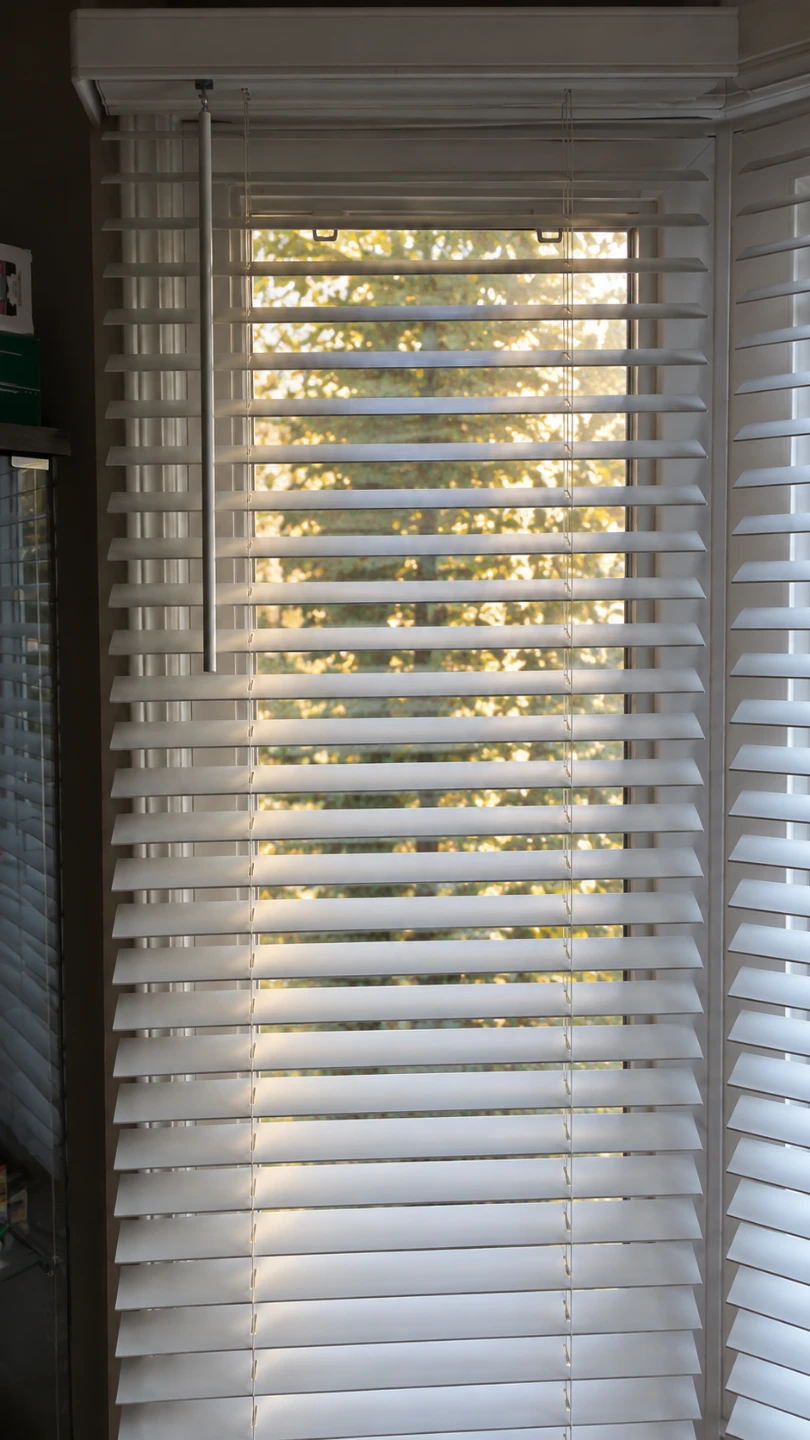 Zebra Blinds Set - photo 3