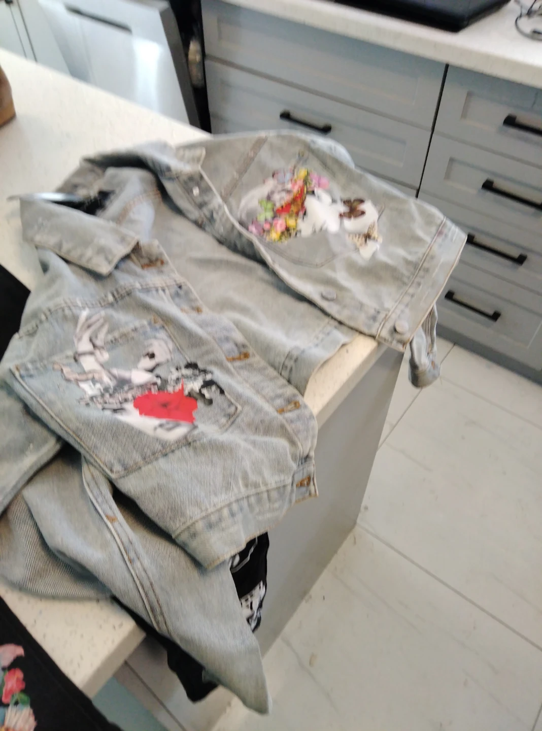 Looney Tunes Denim Jacket