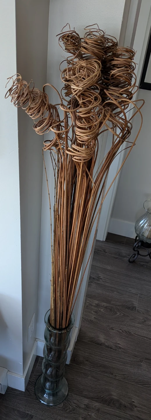 Decorative Curly Willow Branches