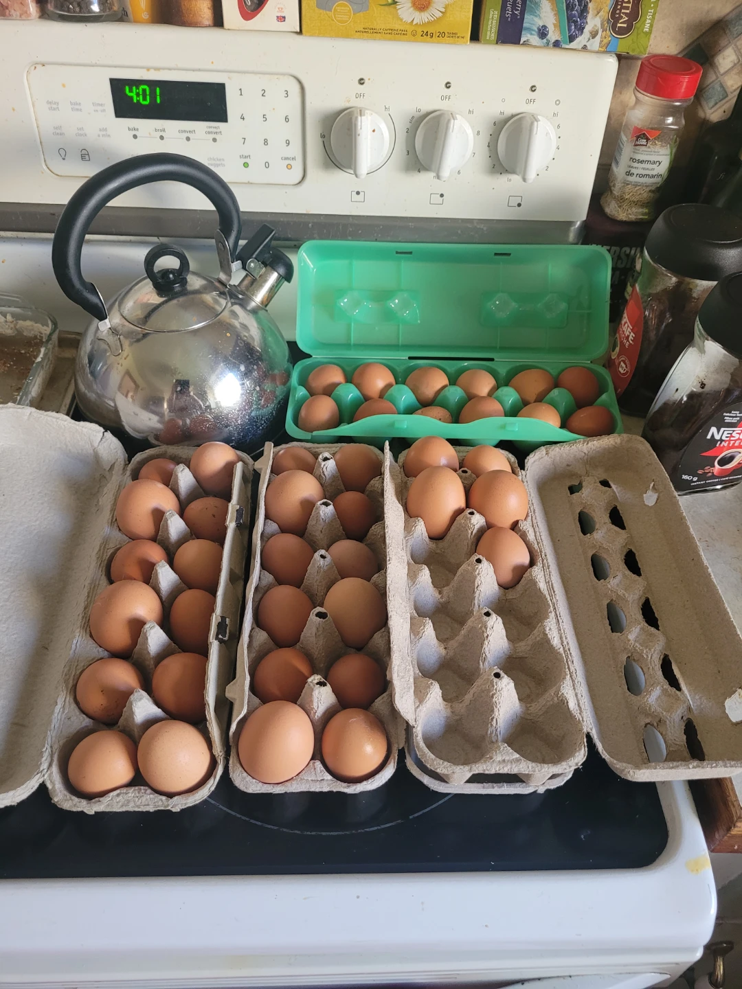 Fresh Brown Eggs from my chickens