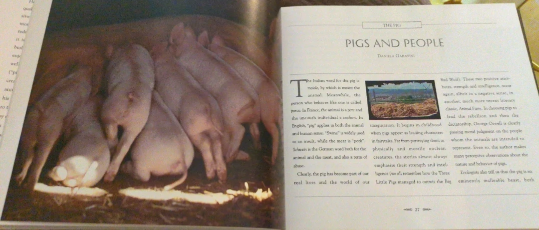 Pigs and Pork: History, Folklore, Ancient Recipes Book - photo 2