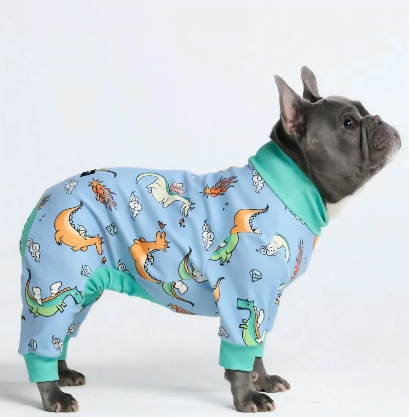 Dog Pajama Dragons - photo 4
