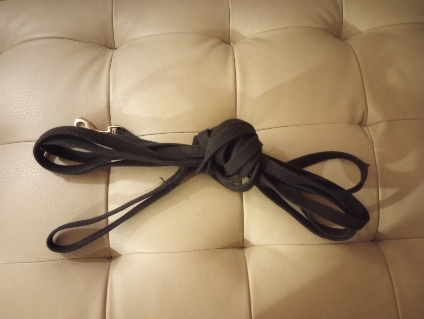 20' Cotton Leash for Smaller Dog