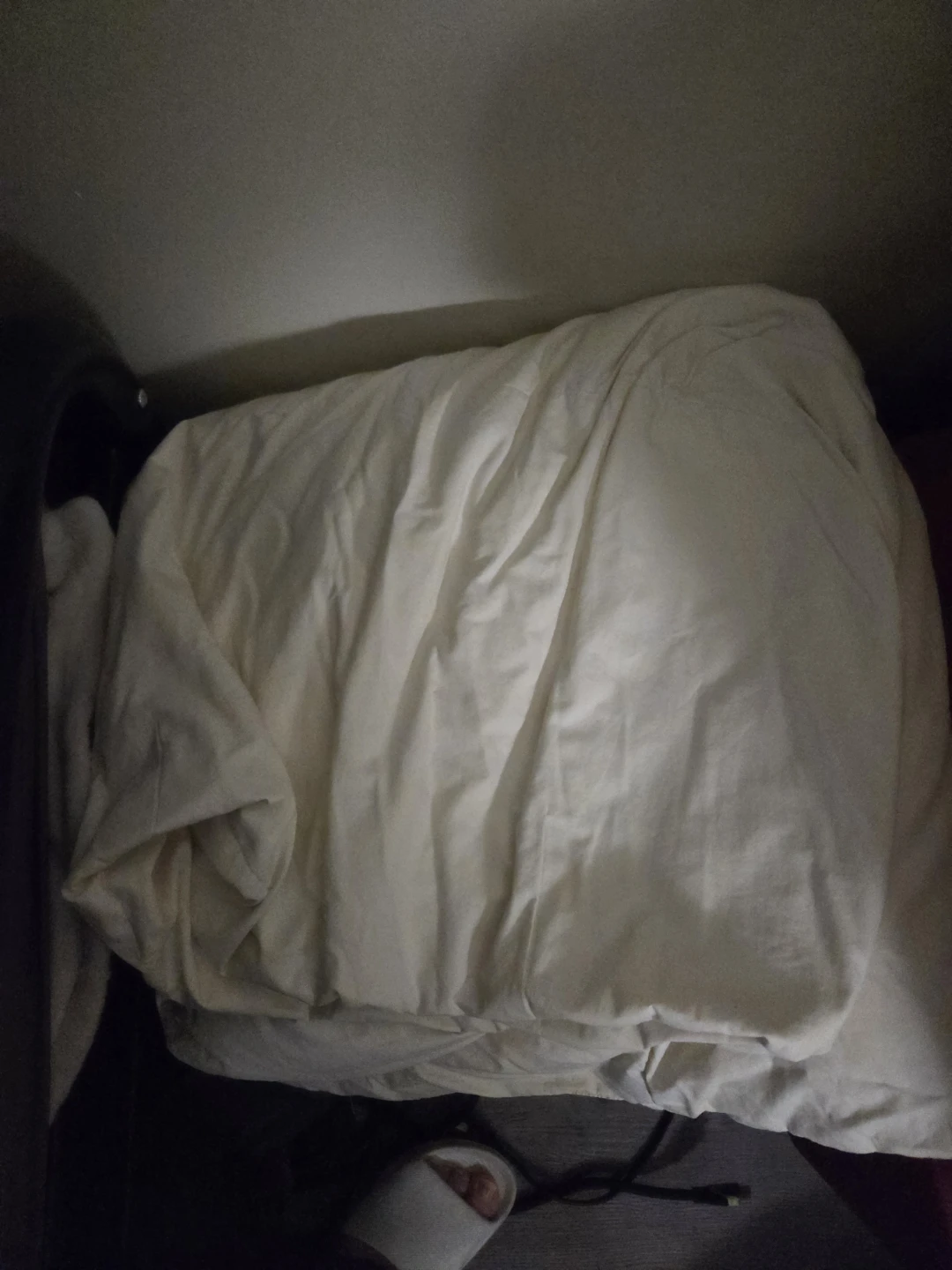 Free old worn down duvet