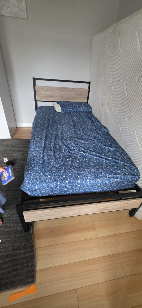Single Metal and Wood Bed Frame with mattress