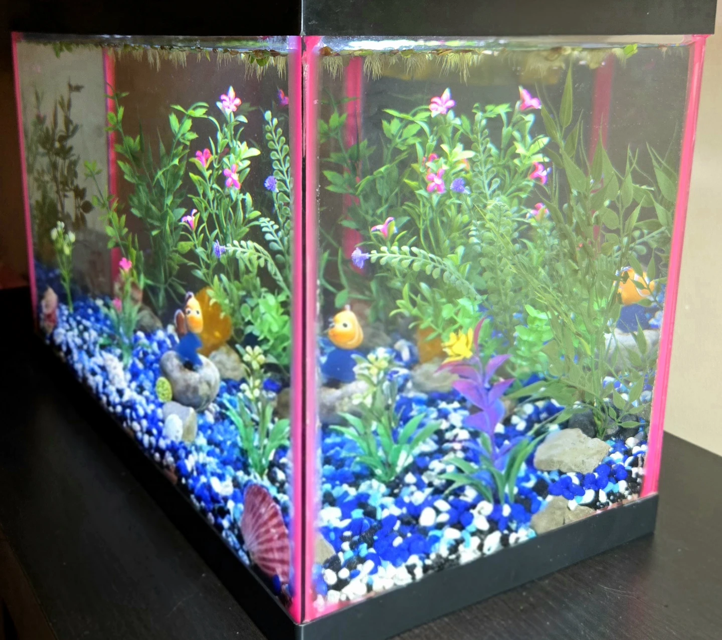 Aquarium with Filter - photo 3