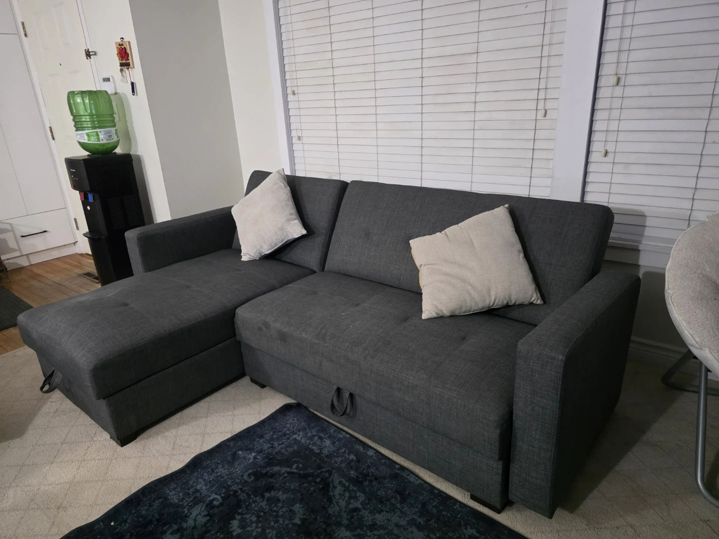 Carter 2-Piece Sleeper Sectional Sofa – For Sale - photo 2