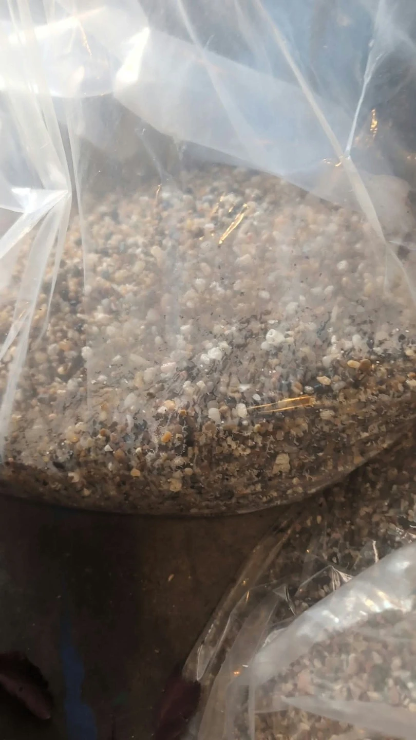 Gravel/substrate for fish tanks
