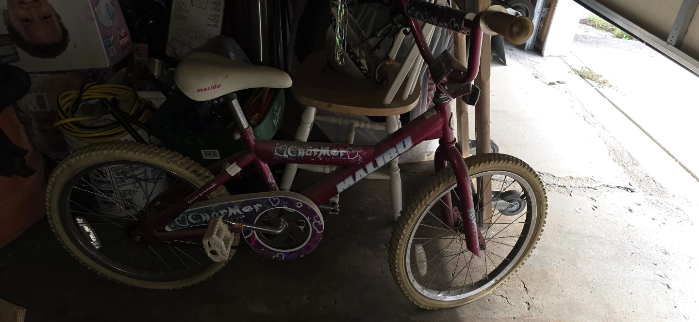 Malibu Charmer Kids Bike