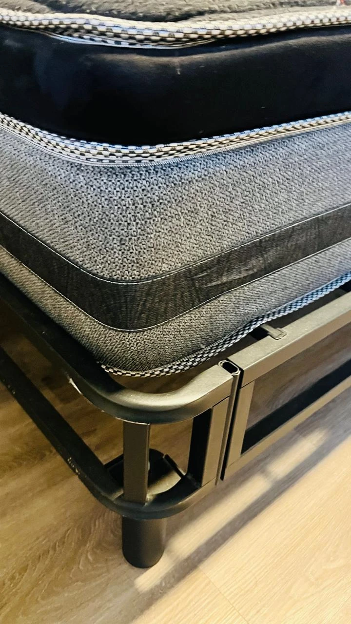 Sleep In Spine Comfort Mattress