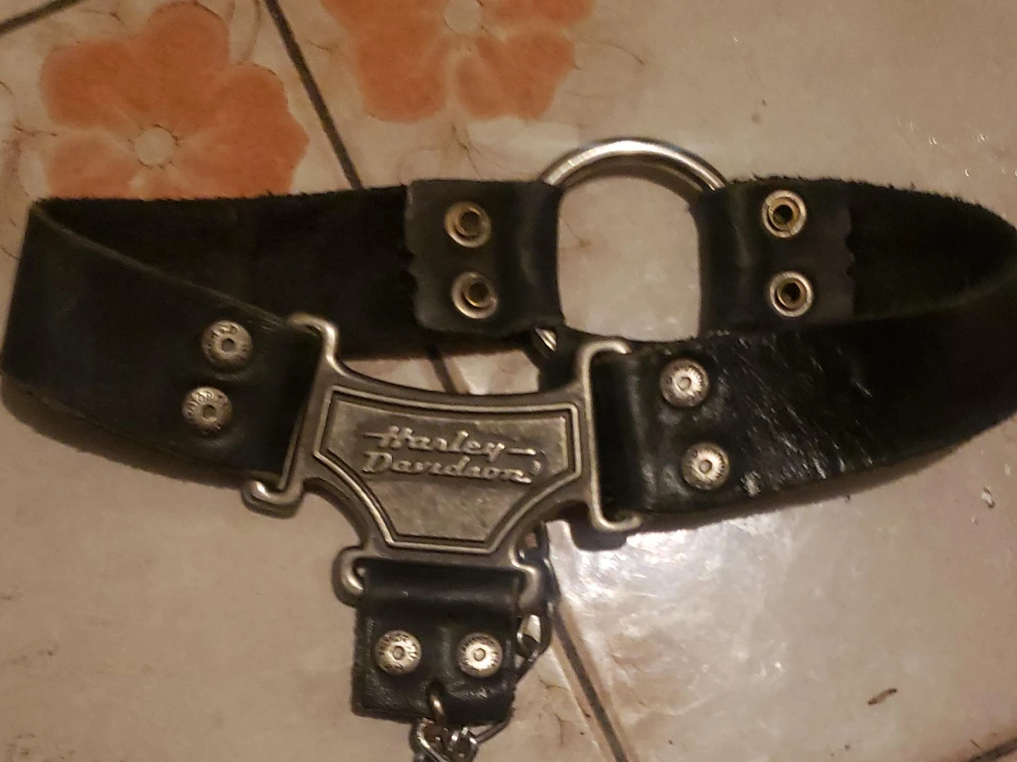 Harley-Davidson Accessories - photo 3
