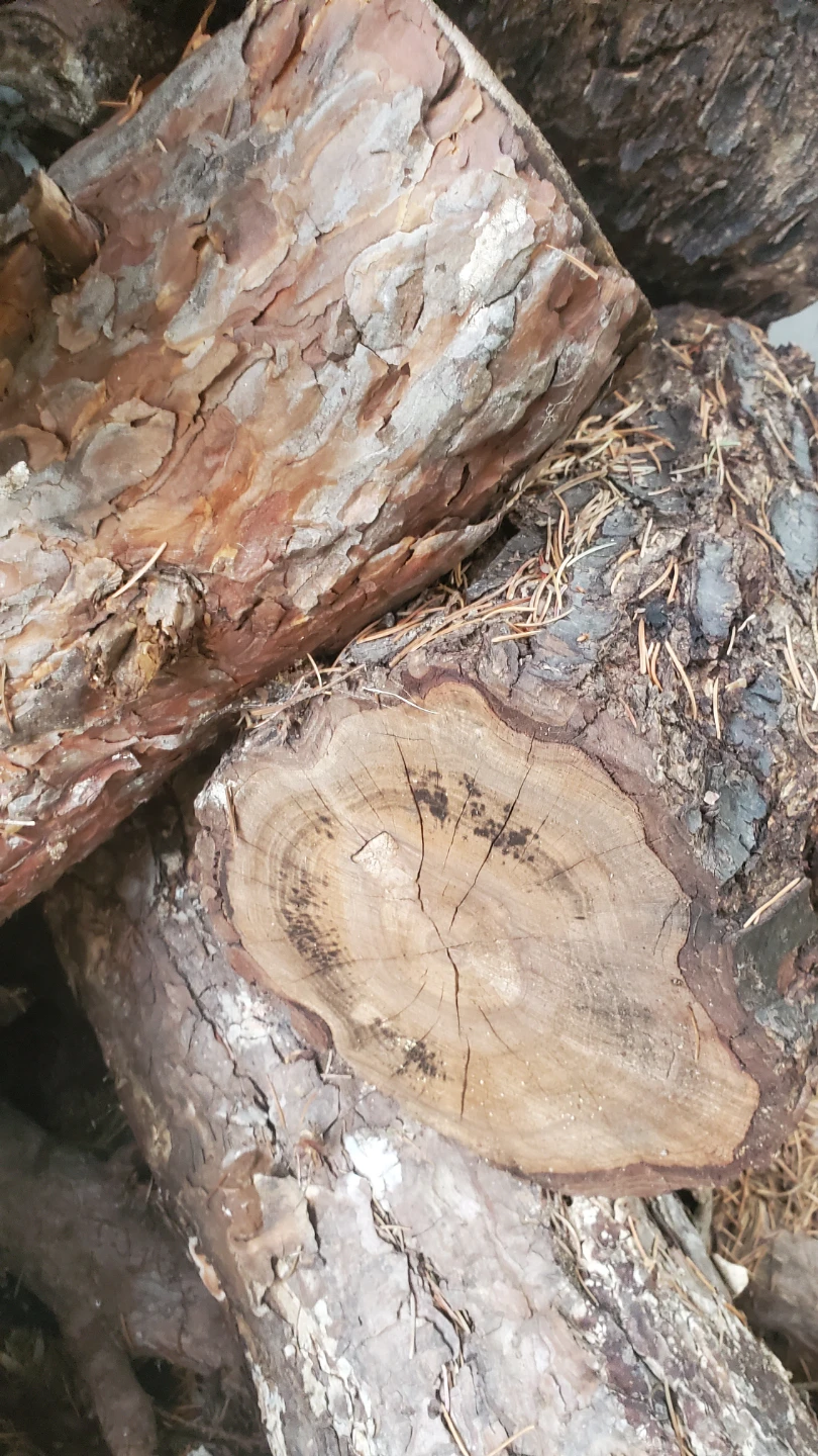 Seasoned Firewood Logs - photo 4