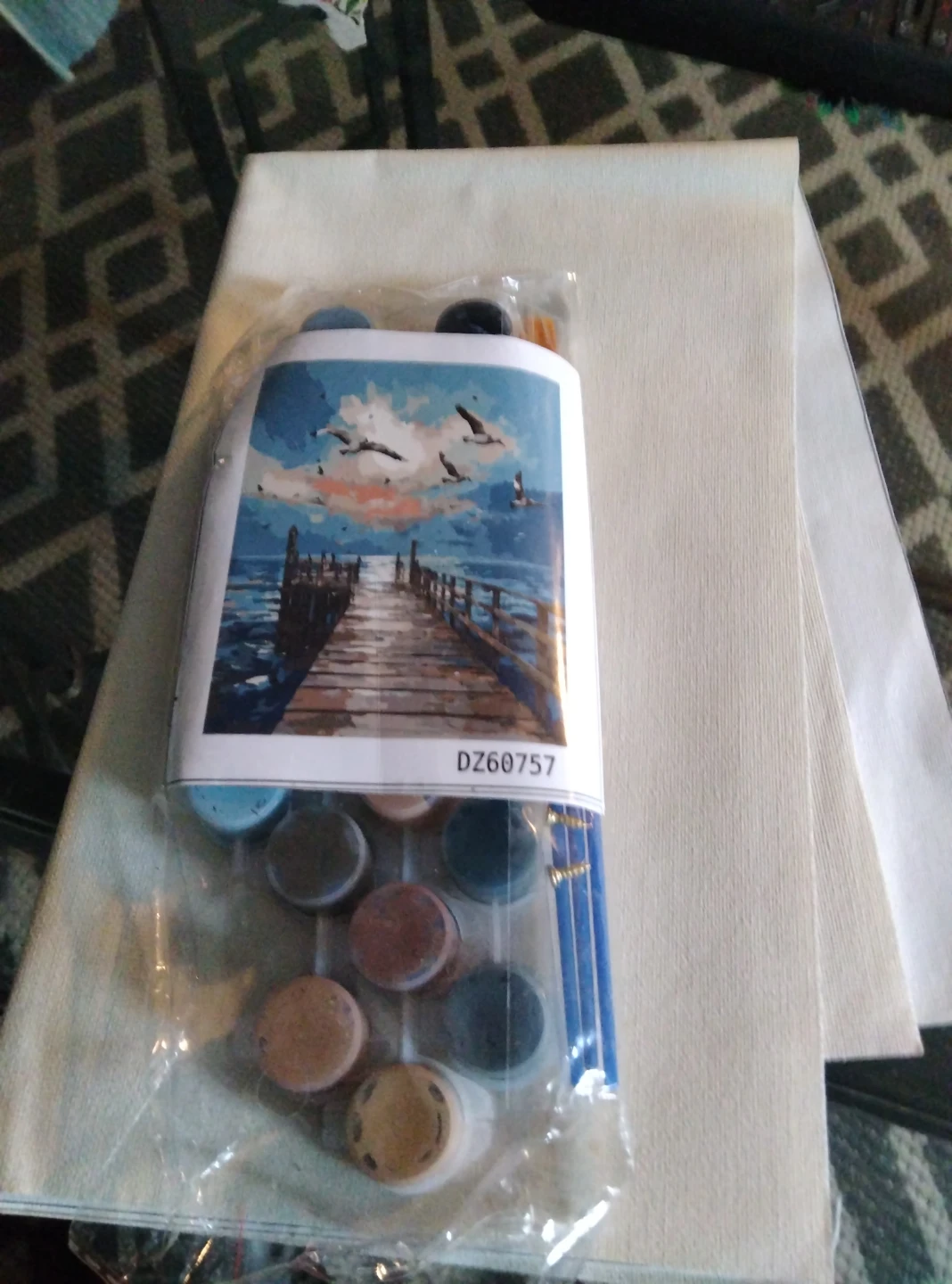 Paint by Numbers Kit DZ60757