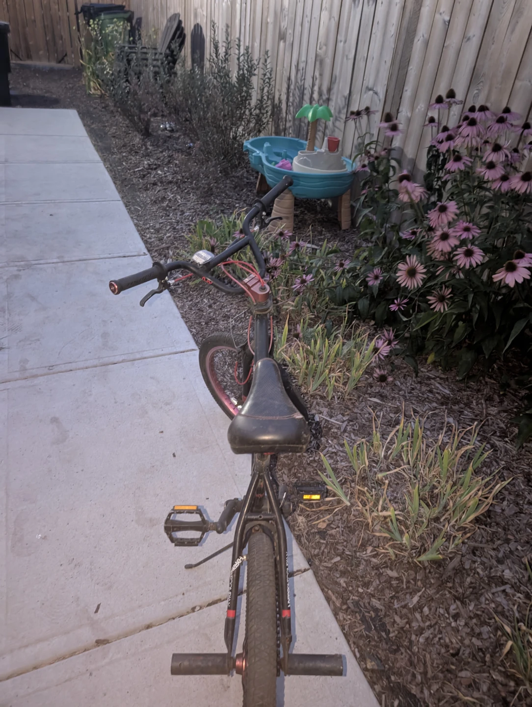 bmx - photo 4