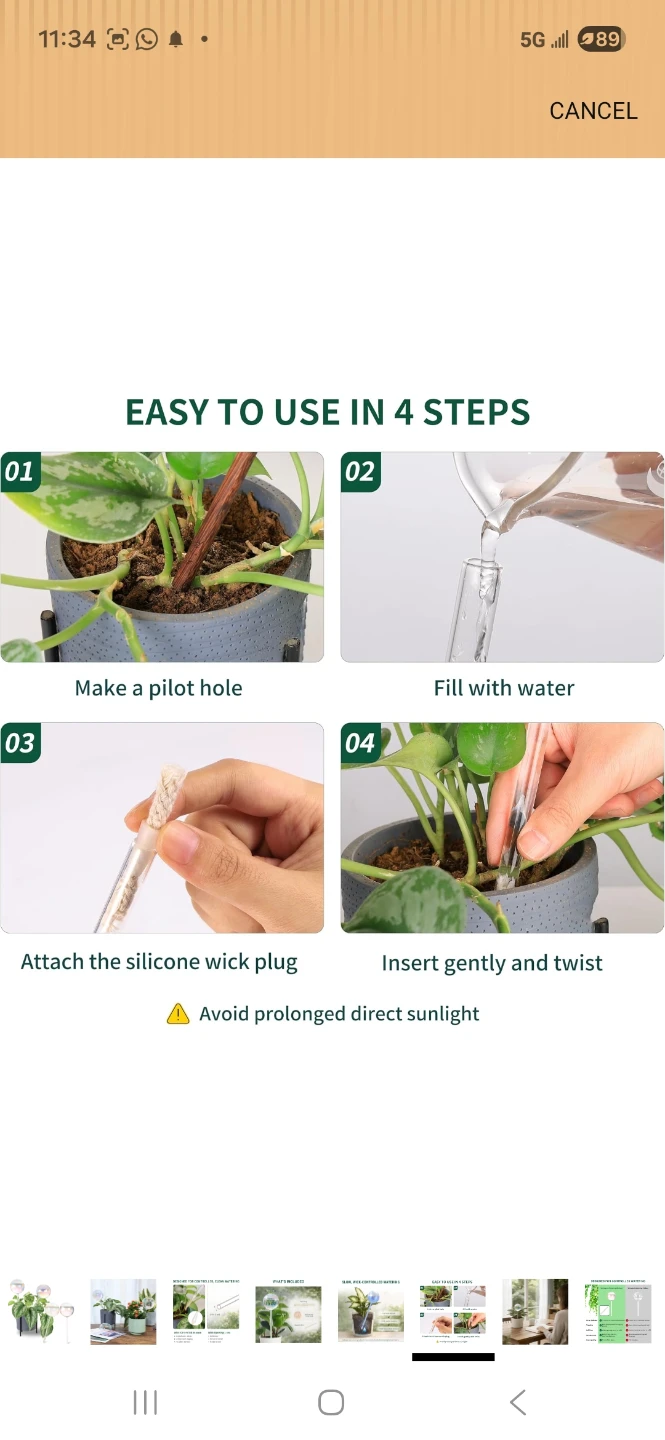Set of Glass Self-Watering Globes - photo 5