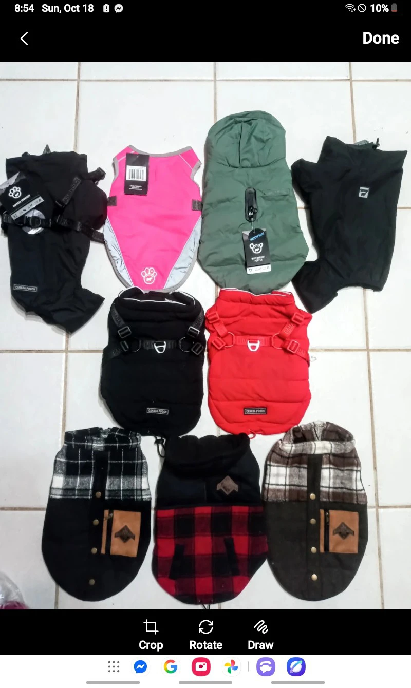 Canada Pooch Dog Apparel Assortment