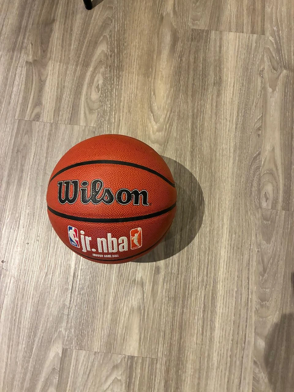 Wilson Jr. NBA Indoor Basketball - photo 2