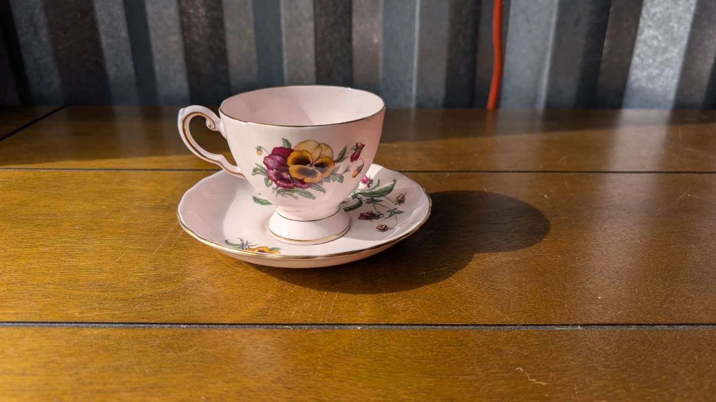 Tuscan Fine English Bone China Teacup and Saucer