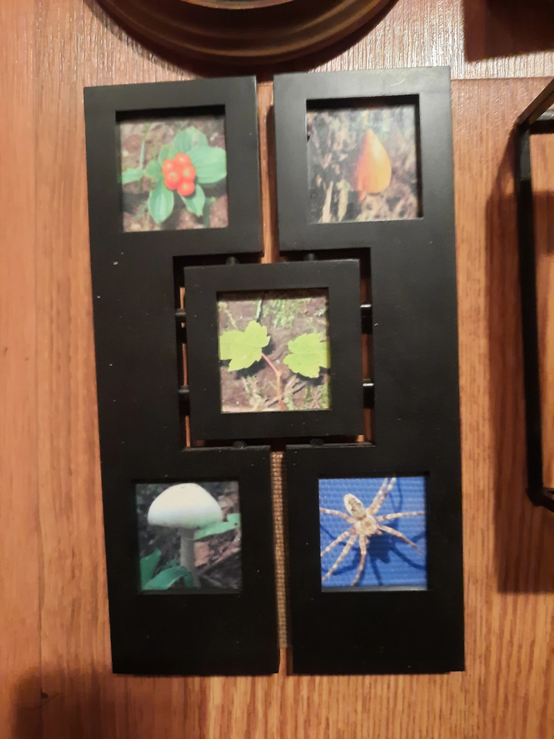 Picture frame/photo album - photo 2